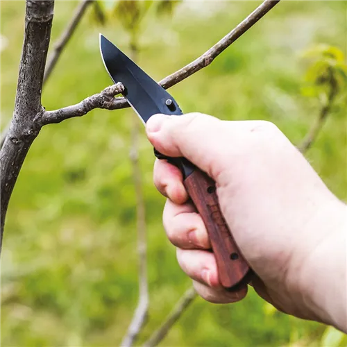 IGM Pocket Knife, Folding