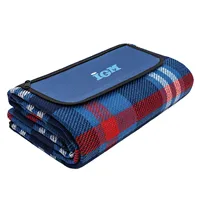 IGM Picnic Blanket