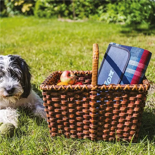IGM Picnic Blanket
