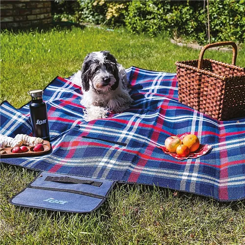IGM Picnic Blanket
