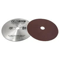 CMT Sanding Steel Disc, D250 d30mm (Used)