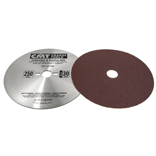 CMT Sanding Steel Disc, D250 d30mm (Used)