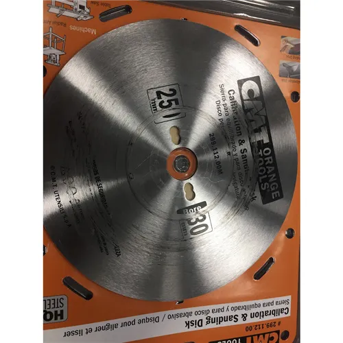 CMT Sanding Steel Disc, D250 d30mm (Used)